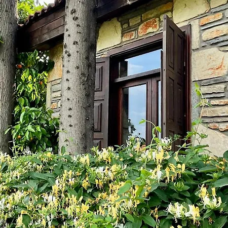 Kamarca House Дальян