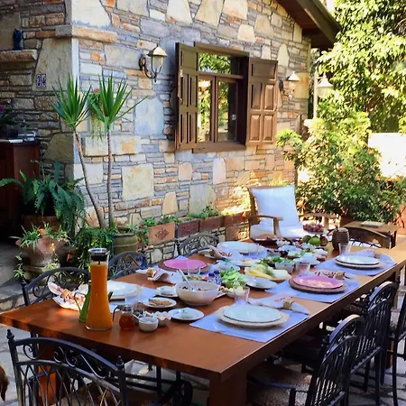 Kamarca House Дальян