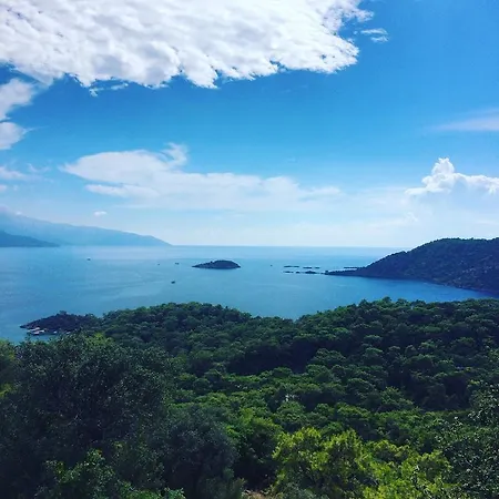 Kamarca House Дальян