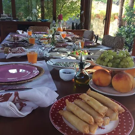 Kamarca House Дальян