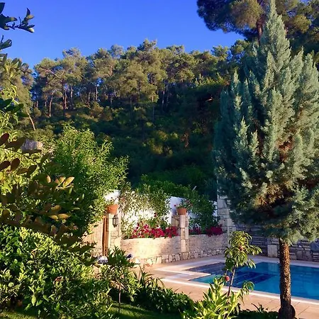 Отель Kamarca House *