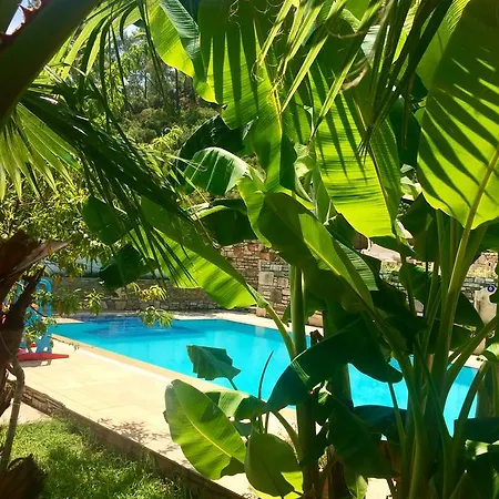 Kamarca House * Дальян