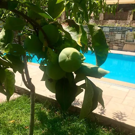 Hotel Kamarca House Dalyan