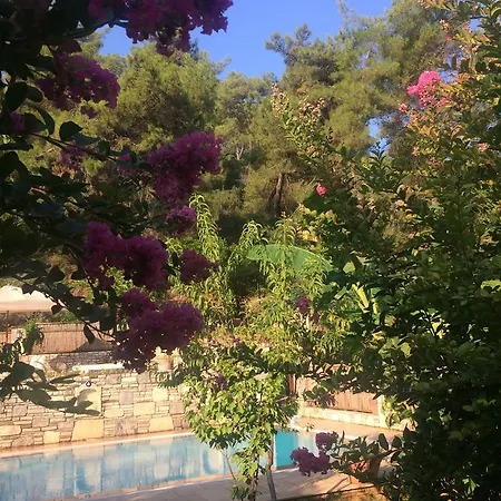 Kamarca House Отель *