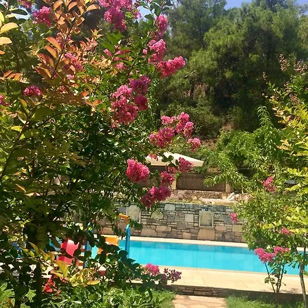 Kamarca House Отель *