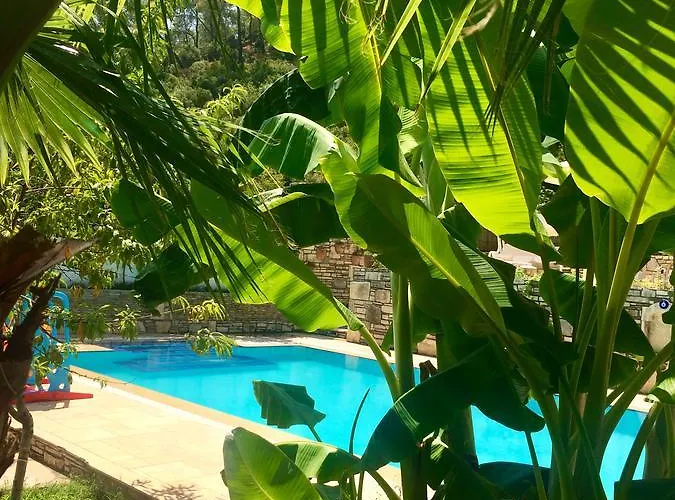 Kamarca House * Dalyan