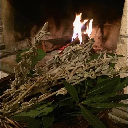 Kamarca House Hotel Dalyan