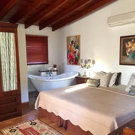 酒店 Kamarca House 达利安