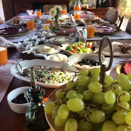 Hotel Kamarca House Dalyan