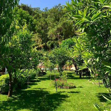 Otel Kamarca House