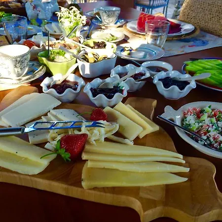 Hotel Kamarca House Dalyan