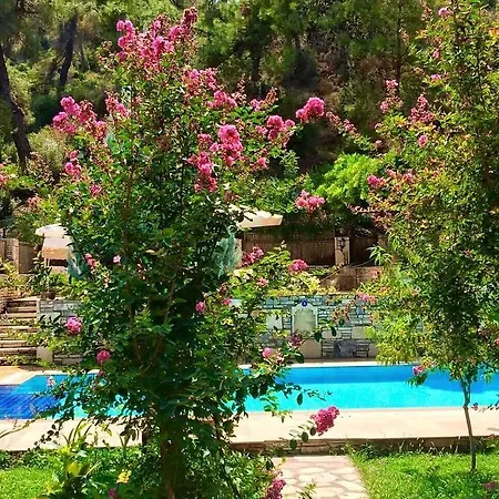 Kamarca House * Dalyan