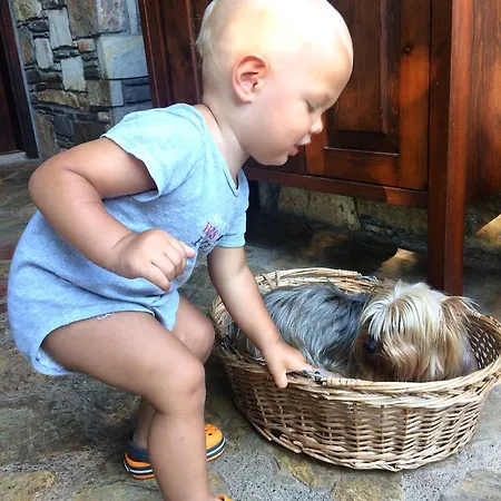 Kamarca House Hotel *