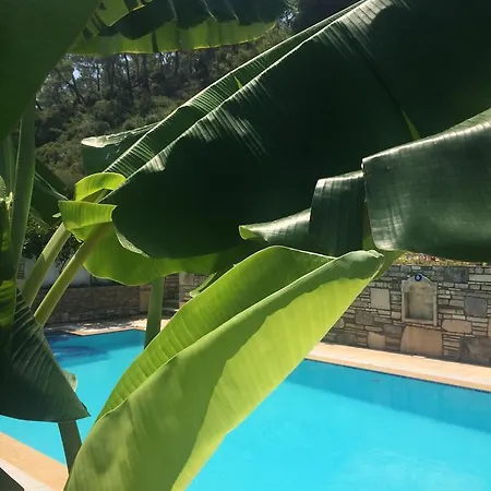 Kamarca House * Dalyan