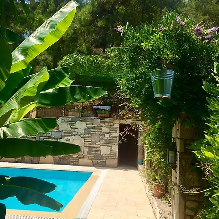 Hotel Kamarca House *