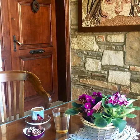 Hotel Kamarca House