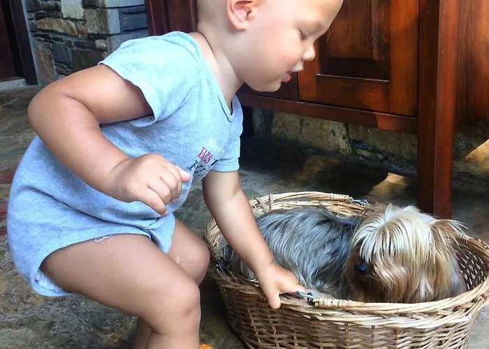 Kamarca House Otel *