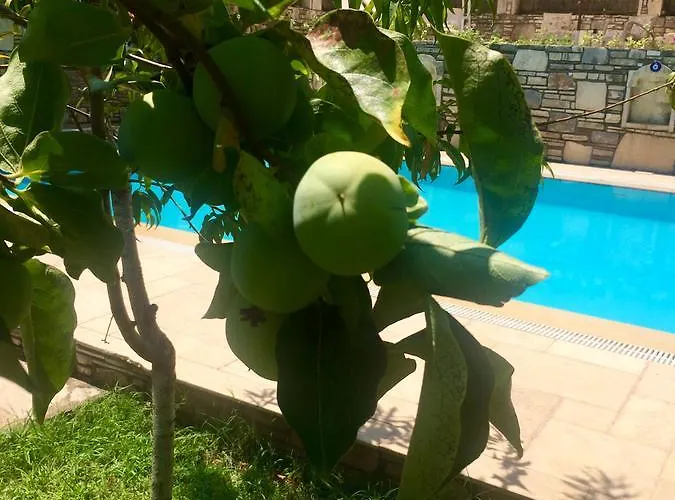 Otel Kamarca House Dalyan