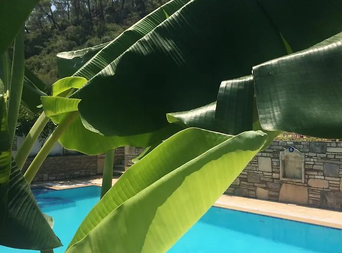 Kamarca House * Dalyan