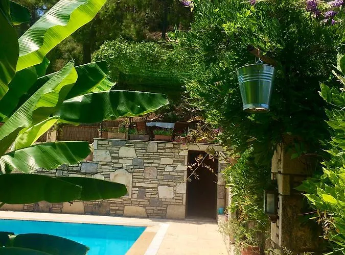 Otel Kamarca House *