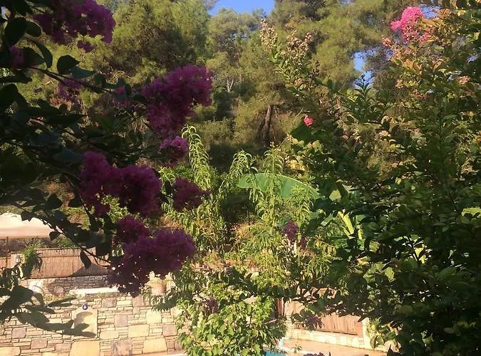 Kamarca House Otel *